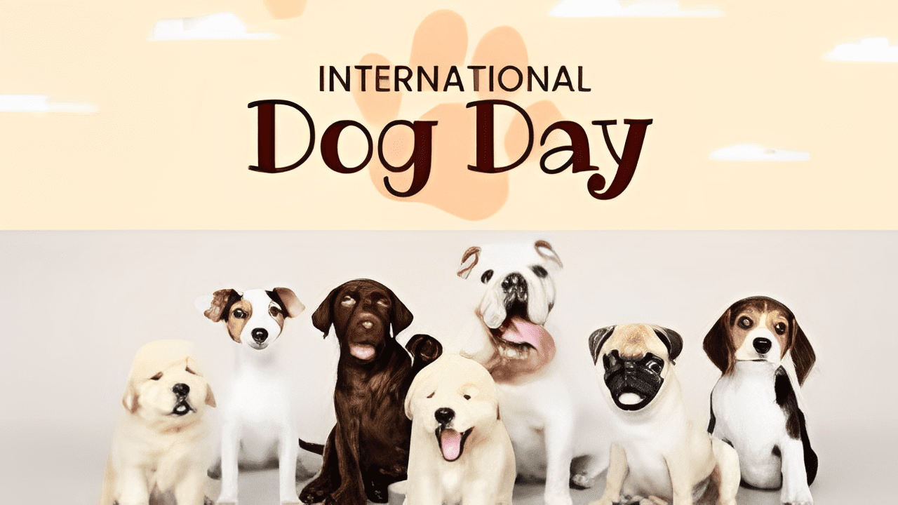 International Dog Day 2023